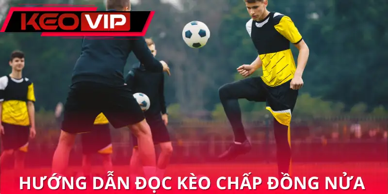 Hướng dẫn đọc kèo chấp đồng nửa nhanh trong 3 phút