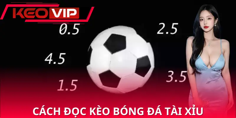 Cách đọc các loại kèo bóng đá tài xỉu là gì