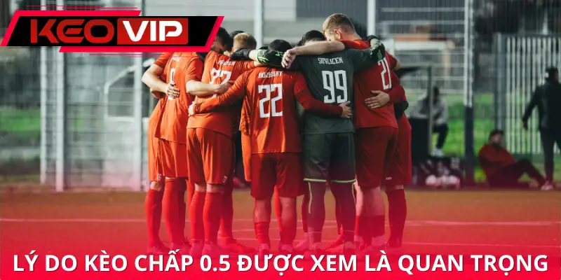 Lý do kèo chấp 0.5 được xem là quan trọng